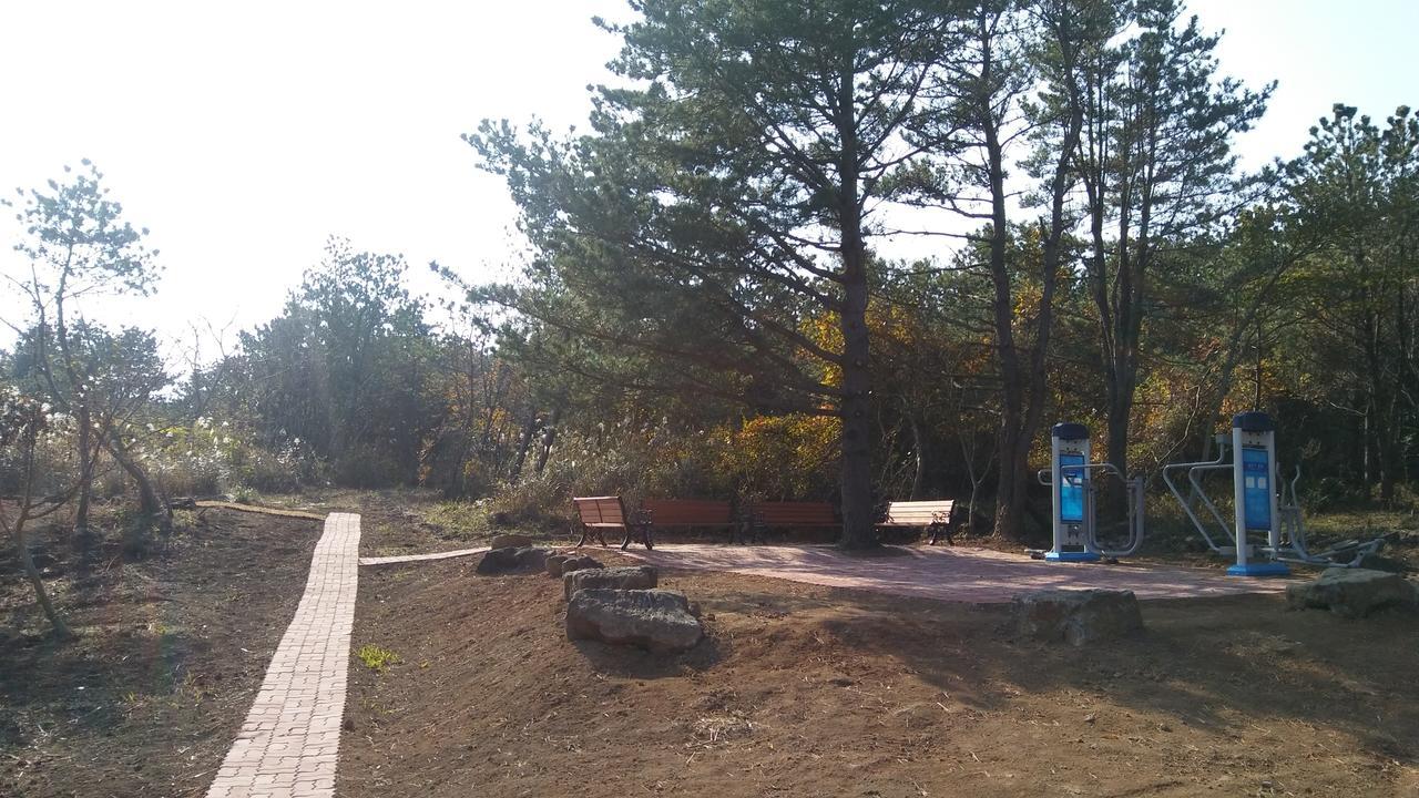 Jeju Youth Hostel Exterior photo