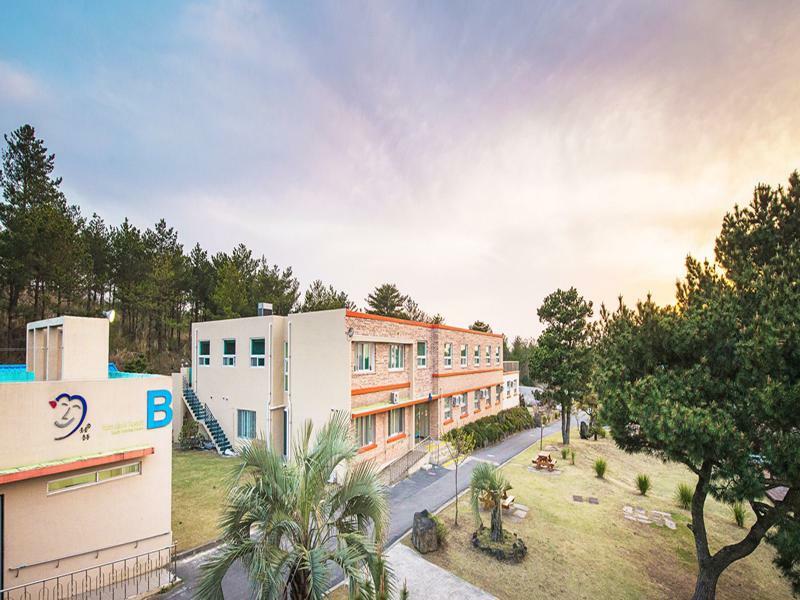 Jeju Youth Hostel Exterior photo